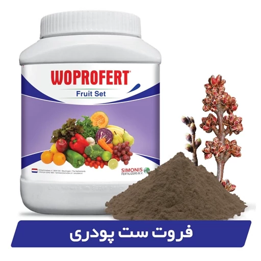 کود فروت ست پودری وپروفرت 1 کیلویی